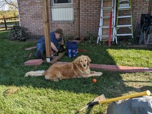 Catio construction project with canine helper