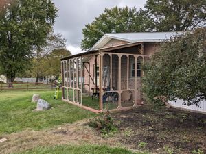 Catio construction with wooden frame and mesh