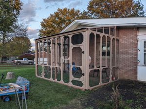 Modular cat enclosure for outdoor access