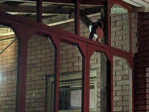 Cozy catio construction underway