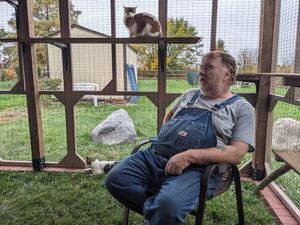 Senior cat owner relaxes in custom catio